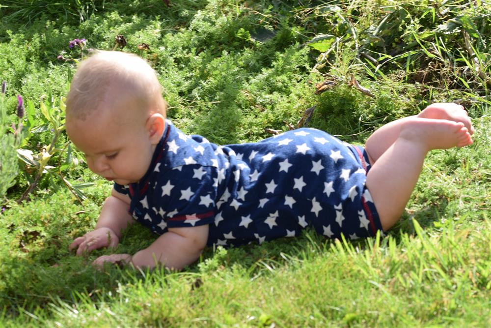 Chamomile lawn baby sensory mat